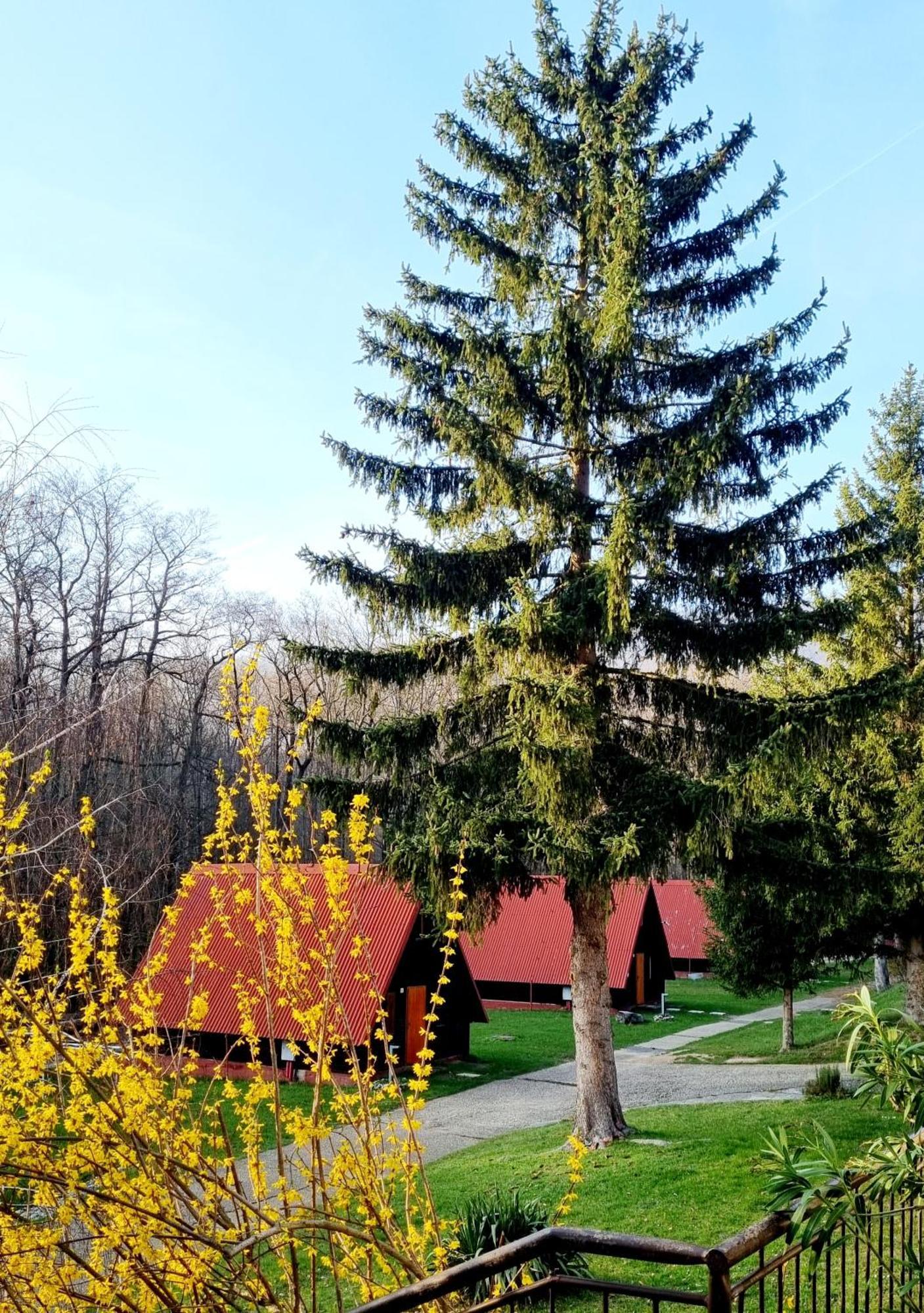 Zaruby Resort Smolenice Exterior photo